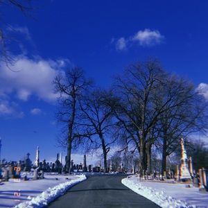 Meet your Posher, Lydia